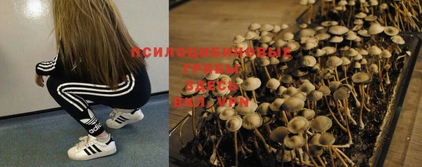 хмурый Нязепетровск