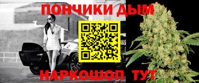 крисы Краснознаменск