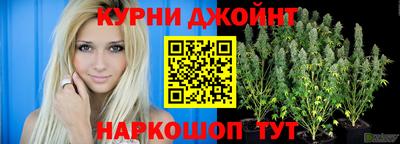 крисы Краснознаменск