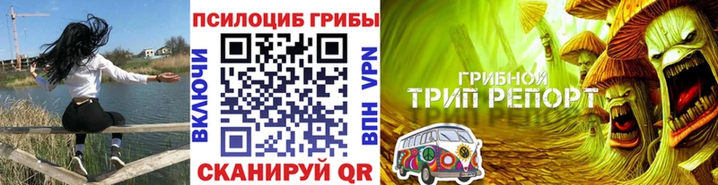 Псилоцибиновые грибы мицелий  мега вход  Казань 